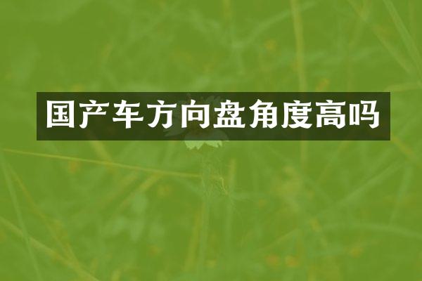 国产车方向盘角度高吗