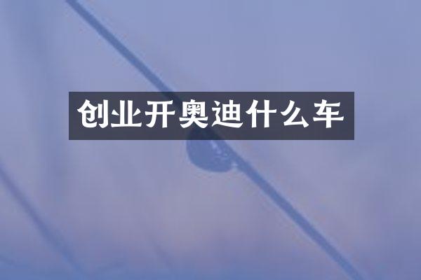 创业开奥迪什么车