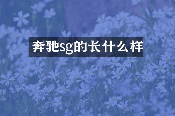 奔驰sg的长什么样