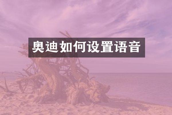 奥迪如何设置语音
