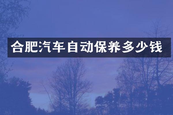 合肥汽车自动保养多少钱