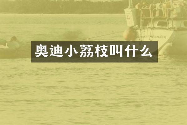 奥迪小荔枝叫什么