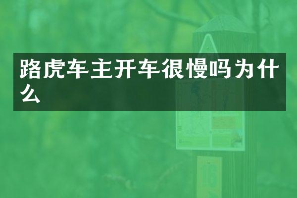 路虎车主开车很慢吗为什么