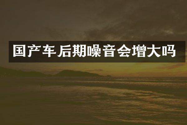 国产车后期噪音会增大吗