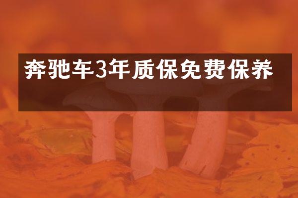 奔驰车3年质保免费保养吗
