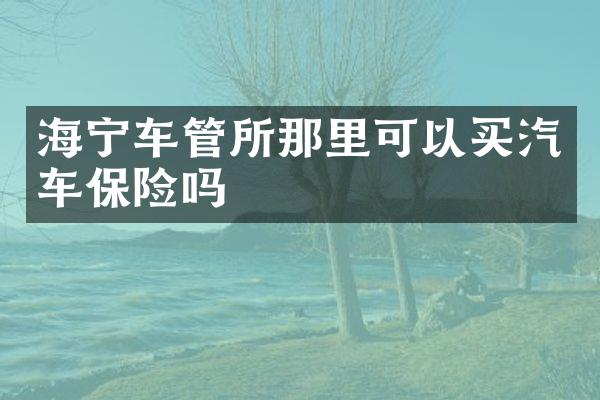 海宁车管所那里可以买汽车保险吗