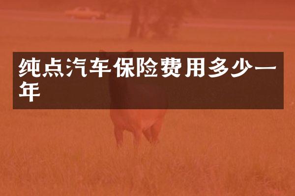 纯点汽车保险费用多少一年