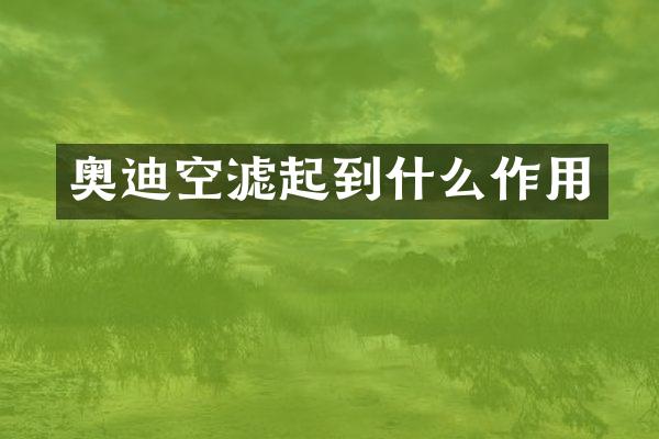 奥迪空滤起到什么作用