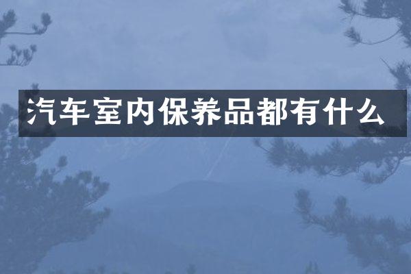 汽车室内保养品都有什么