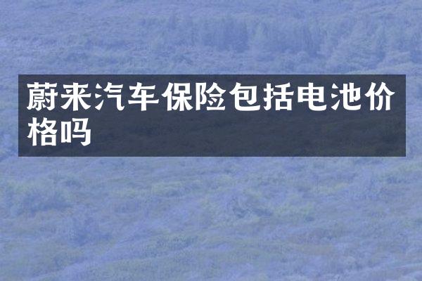蔚来汽车保险包括电池价格吗