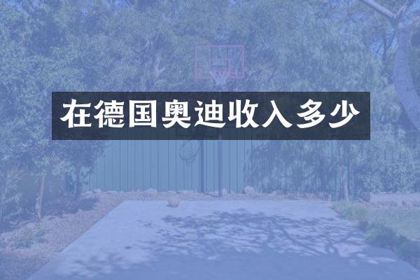 在德国奥迪收入多少