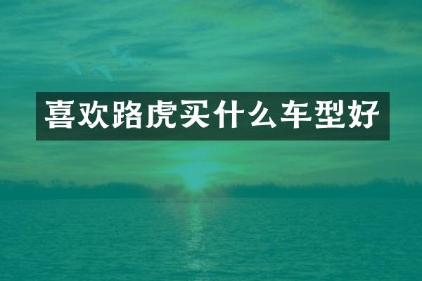 喜欢路虎车型好