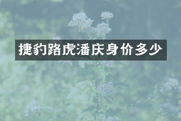 捷豹路虎潘庆身价多少