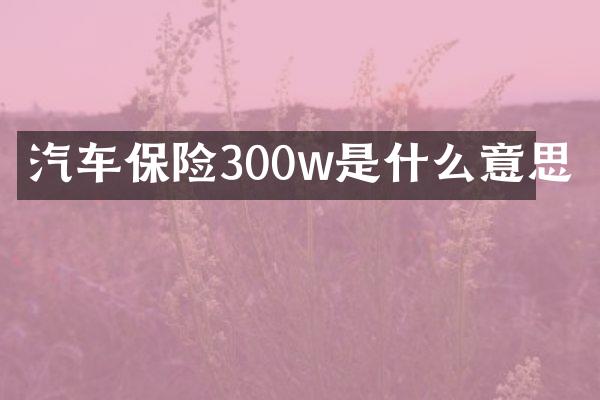 汽车保险300w是什么意思