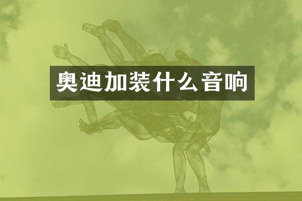 奥迪加装什么音响