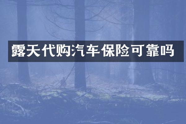 露天代购汽车保险可靠吗
