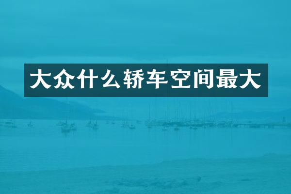 大众什么轿车空间最大