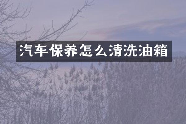 汽车保养怎么清洗油箱
