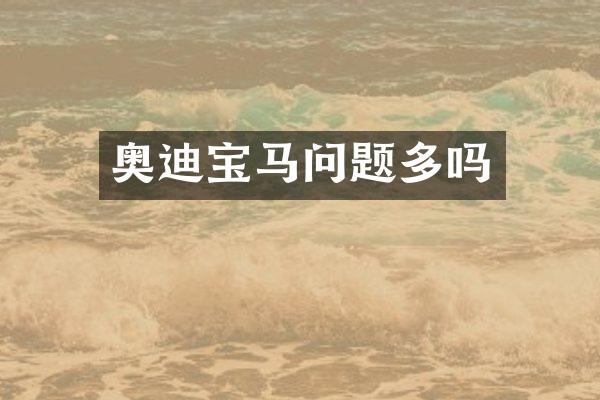 奥迪宝马问题多吗