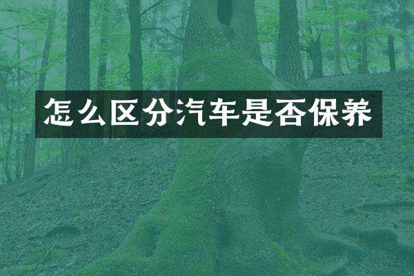 怎么区分汽车是否保养
