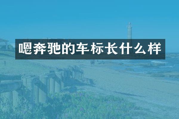 嗯奔驰的车标长什么样