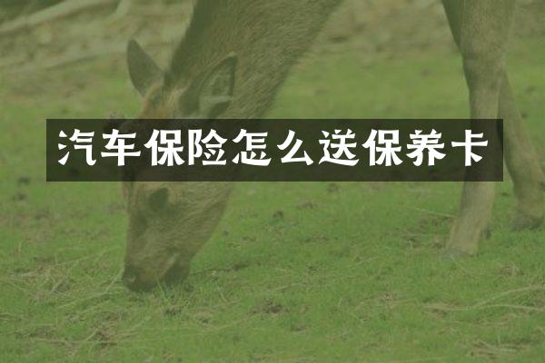 汽车保险怎么送保养卡
