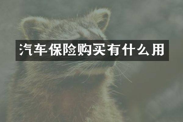 汽车保险购买有什么用