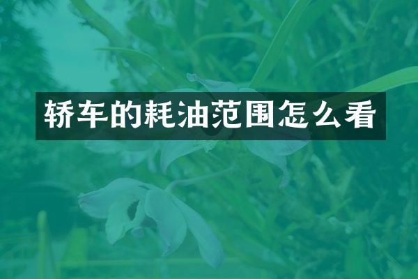 轿车的耗油范围怎么看