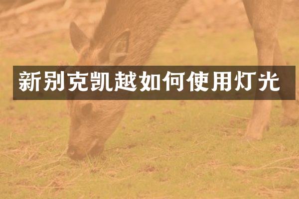 新别克凯越如何使用灯光