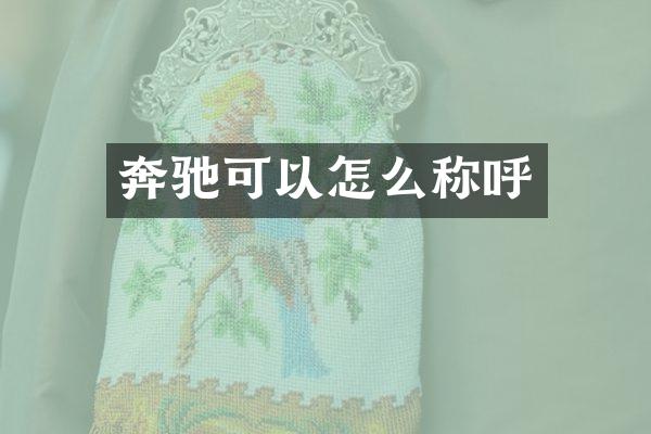 奔驰可以怎么称呼