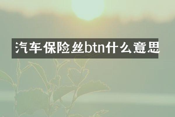 汽车保险丝btn什么意思