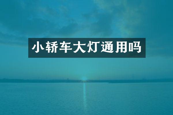 小轿车大灯通用吗