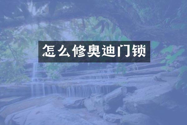 怎么修奥迪门锁