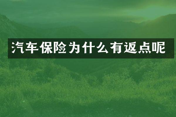 汽车保险为什么有返点呢