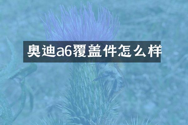 奥迪a6覆盖件怎么样