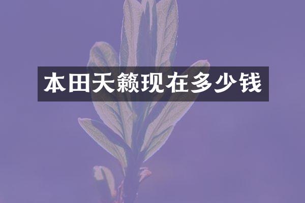 本田天籁现在多少钱