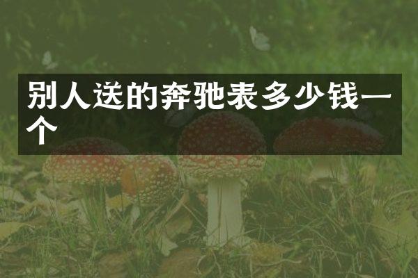 别人送的奔驰表多少钱一个