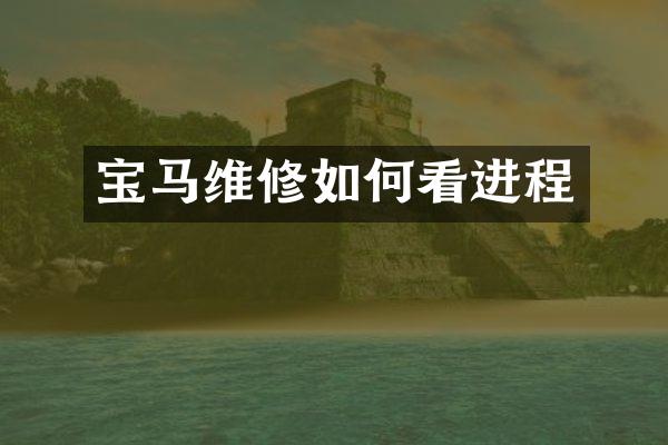 宝马维修如何看进程