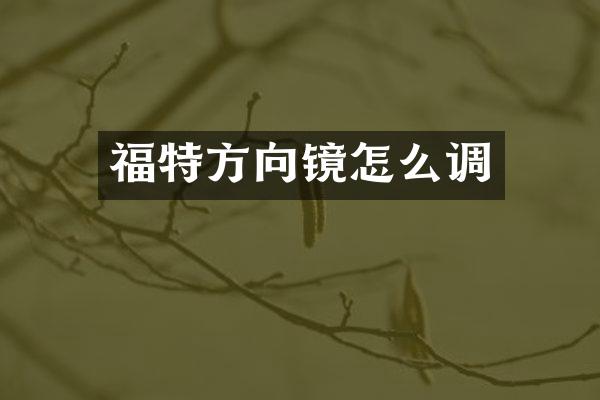 福特方向镜怎么调