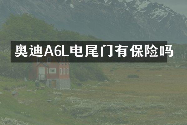 奥迪A6L电尾门有保险吗