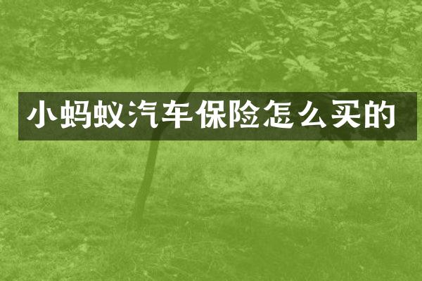 小蚂蚁汽车保险怎么买的