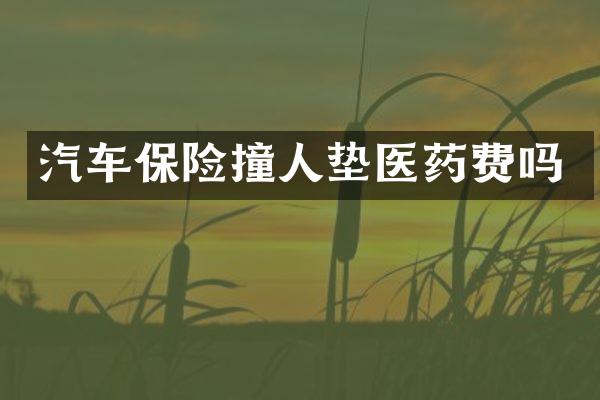 汽车保险撞人垫医药费吗
