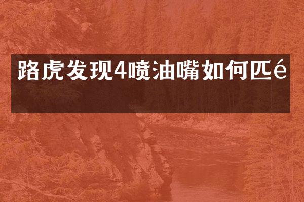 路虎发现4喷油嘴如何匹配