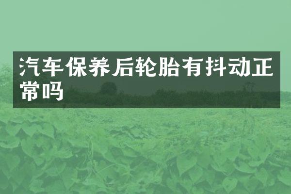 汽车保养后轮胎有抖动正常吗