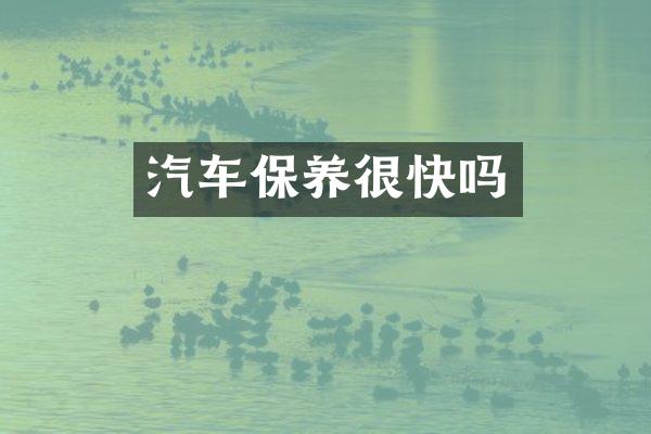 汽车保养很快吗