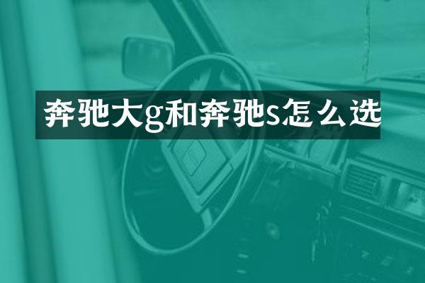 奔驰大g和奔驰s怎么选