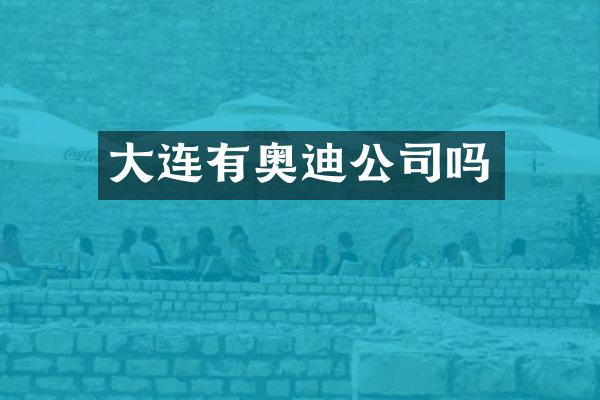 大连有奥迪公司吗