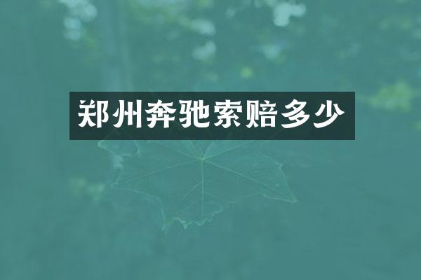 郑州奔驰索赔多少