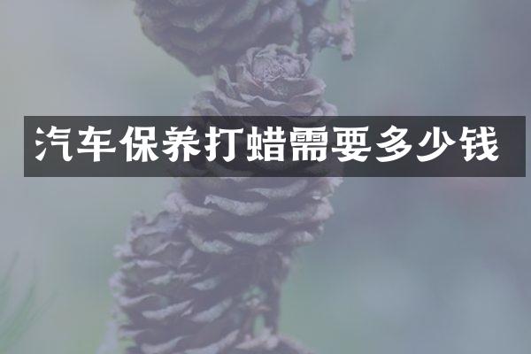 汽车保养打蜡需要多少钱