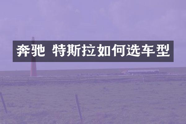 奔驰 特斯拉如何选车型